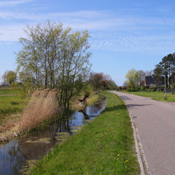 Nesdijk 23, Bergen